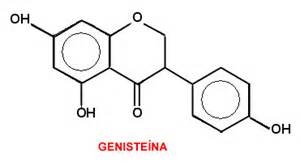 genisteina