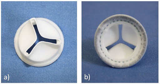 Valvola realizzata nel progetto 3D valve. a) visione atriale, b) visione ventricolare (foto gentilmente concesse da IFC-CNR, Massa)