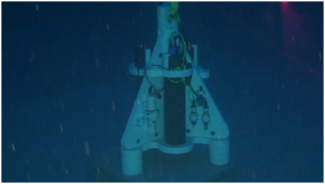  Immagine ROV dell’osservatorio multisciplinare posto a 146 m di profondità
