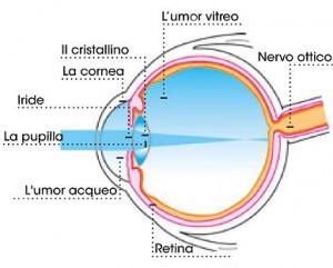 occhio_01