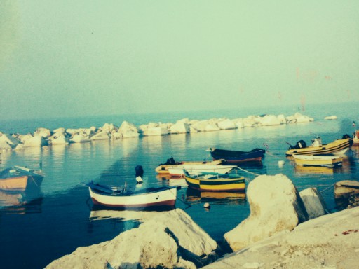 Harbor of Molfetta