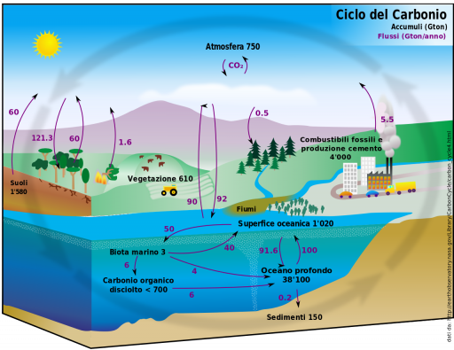 Carbon_cycle-cute_diagram_it.svg