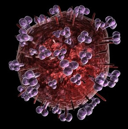 Modello 3D del virus Hiv