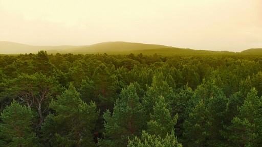 Forested landscape fading into hazy hills.