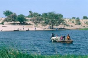 Public transport boat used by locals to cross the channels of the flooded savanna on the Northern coast of Lake Chad.  Baga Sola village. Chad