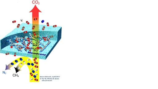 Rappresentazione schematica del trasporto attraverso una membrana con elevata selettività per la CO2 rispetto ad azoto e metano
