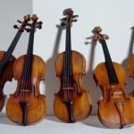 violino Amati