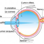 occhio_01