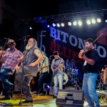 bitontobluesfestival2014