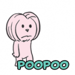 popoo