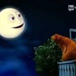 Bear nella grande casa blu