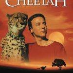 cheetah