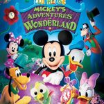 mickey mouse wonderland