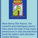 Bery the Parrot L’Idea box ad