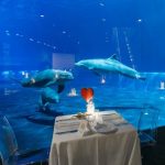 ACQUARIO DI GENOVA SAN VALENTINO