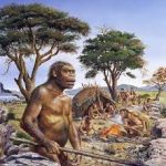 Homo erectus