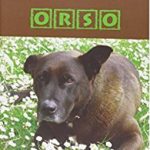 orso serena guerra