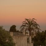 Niluka Laura Telli, A Diletta, l’Isola di Capri, il suo blu intenso, l’amore per la vita, fotografia, 2021