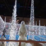 TO WONDERLAND LINGOTTO FIERE