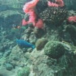 Acquario di Genova Photo di Anna & Maria Sciacca