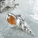 Buccellati collezione Marina, conchiglie