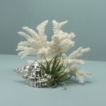 Buccellati conchiglia marina nella mostra Naturalia