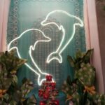Dolphins, Photo © Anna & Maria Sciacca